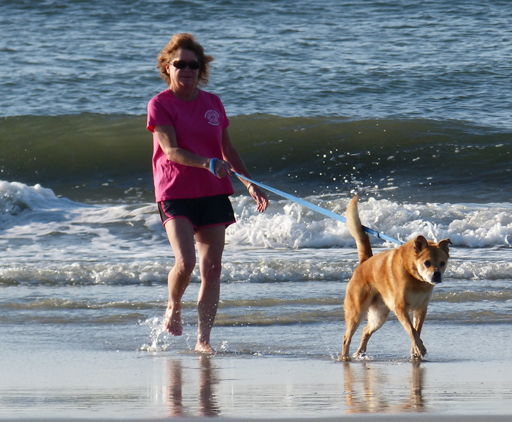 wildwood-dog-beach-pet-friendly-sites