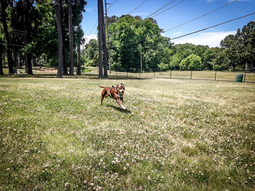 Bayville Farms Dog Park - Pet Friendly Sites