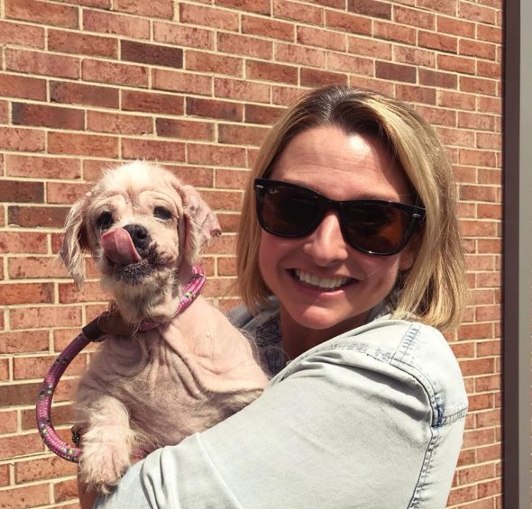 Sweet little dog discovered in trash bag finds her "happily ever after" - Life With Dogs