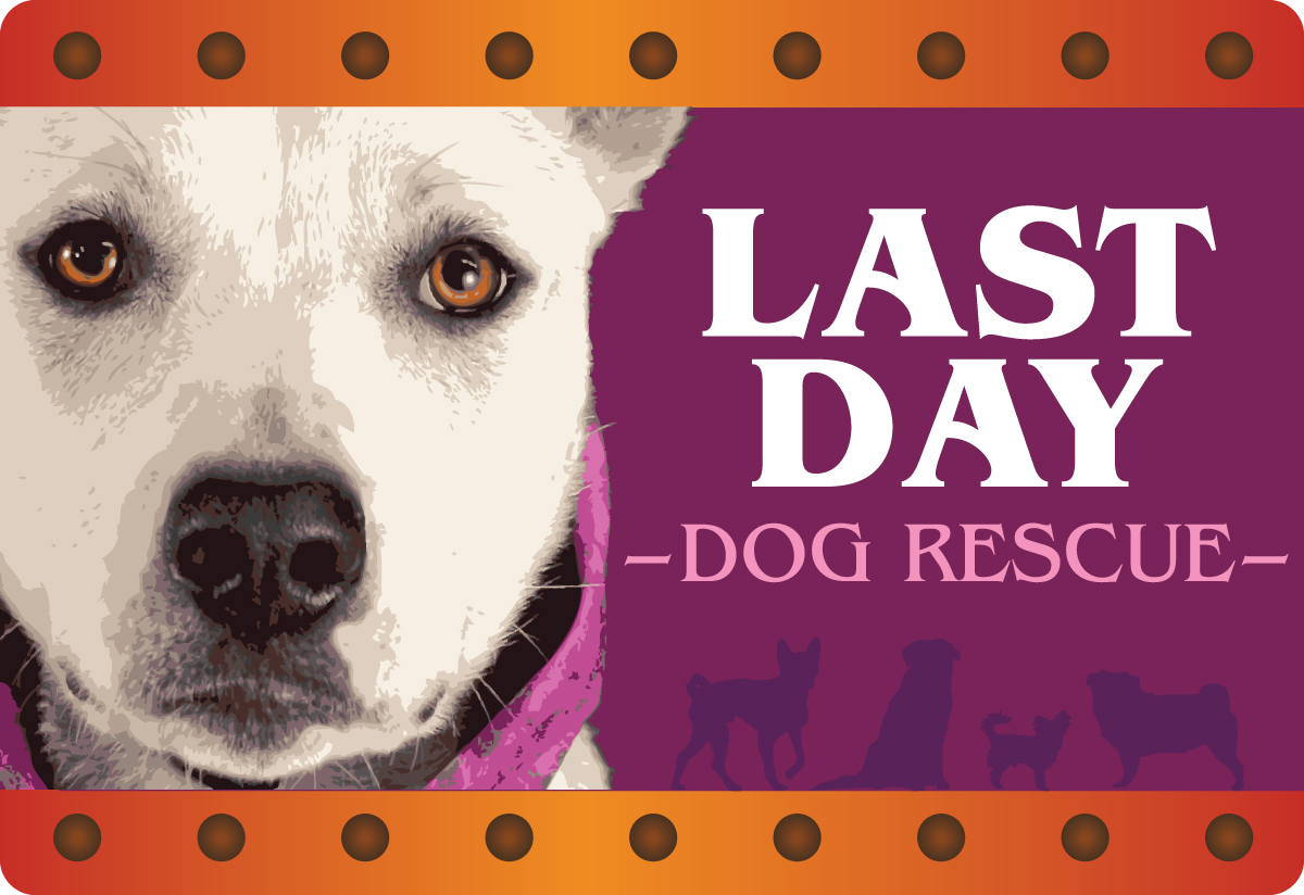 Last Day Dog Rescue
