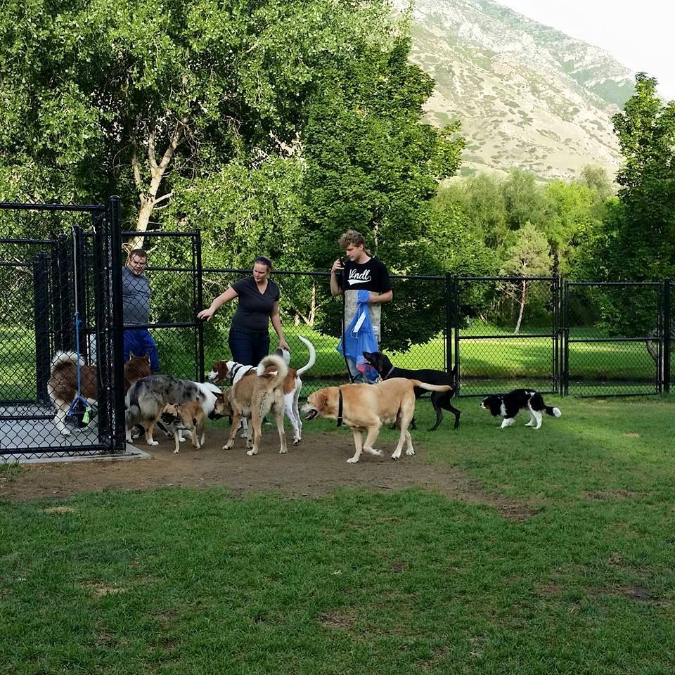 Provo Dog Park - Bicentennial Park - Pet Friendly Sites