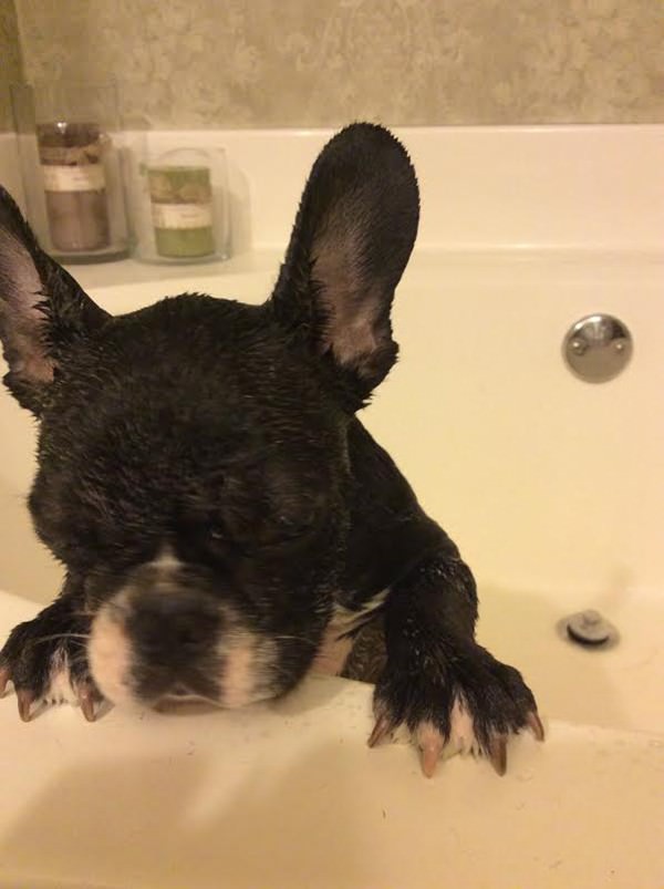 In the early days, I’m sure he’d rather stink than get a bath. 