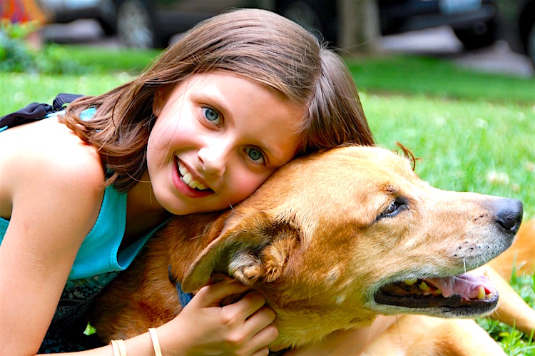 5 Steps To Help Kids Overcome Their Fear Of Dogs Petful Pet 