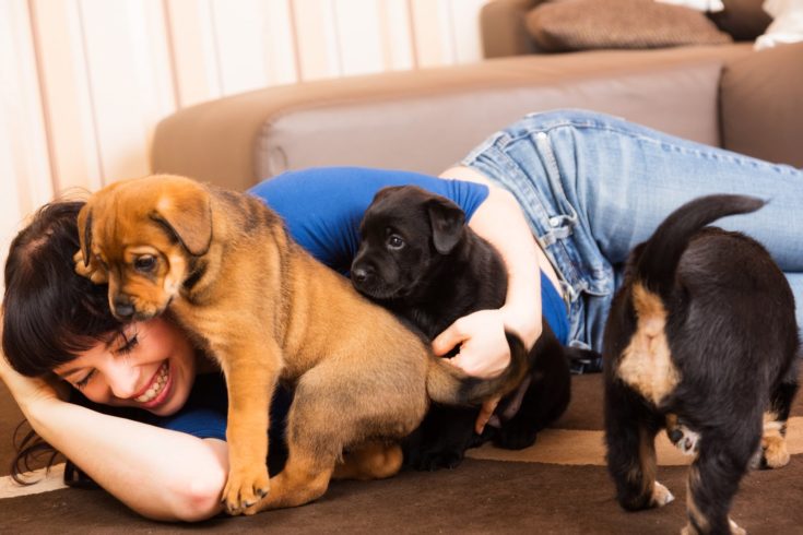 young woman playing with puppies