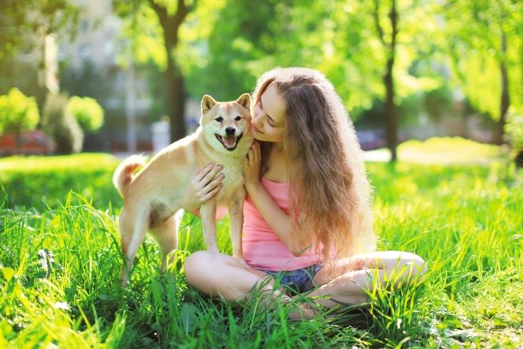 Dog and owner summer