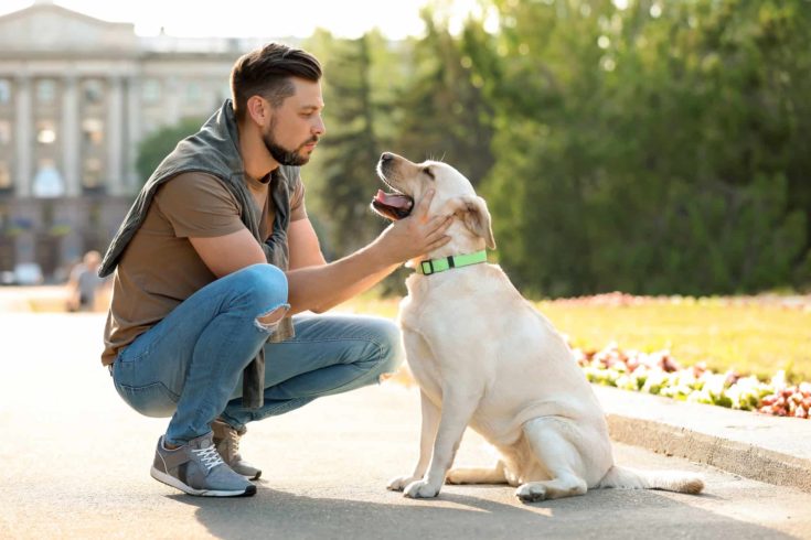 Man training a guide dog e1611768961471