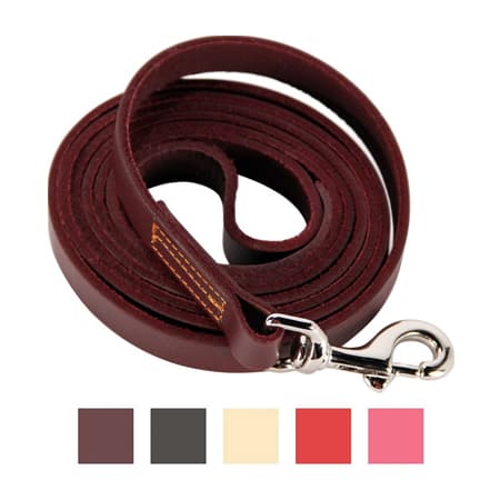 Logical Leather Dog Leash