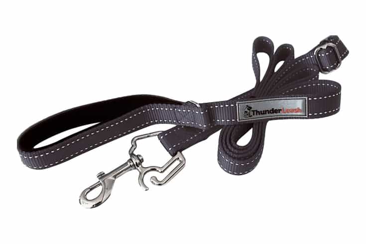 ThunderLeash Nylon Dog Leash