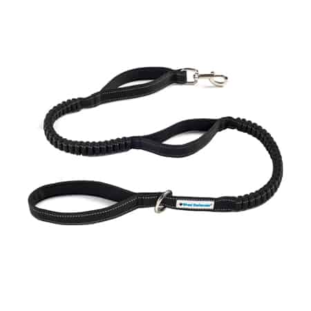 Shed Defender Dog Leash