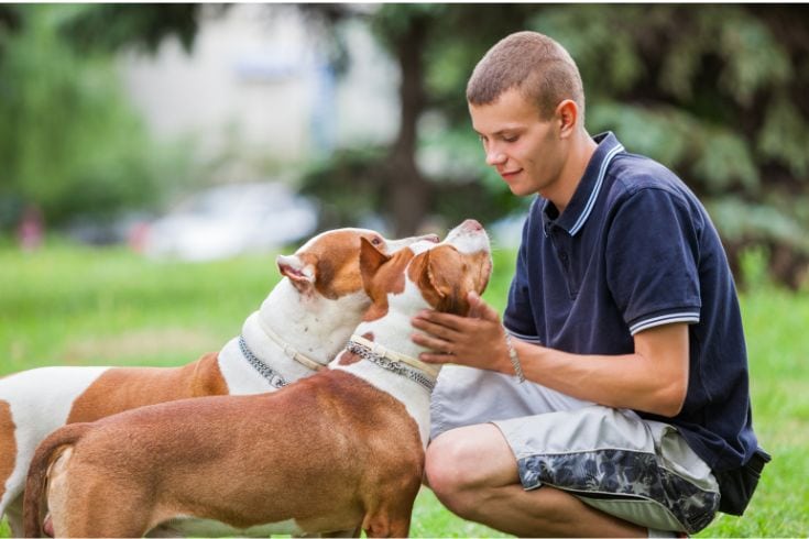 a person and 2 dogs