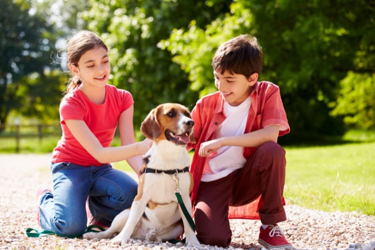 2 siblings with their dog in the park