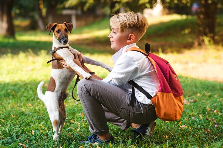 Schoolboy and his dog playing at the park