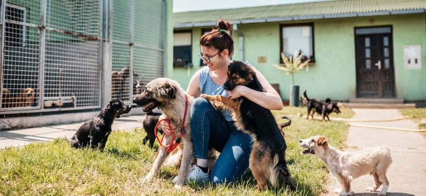 Woman getting another dog